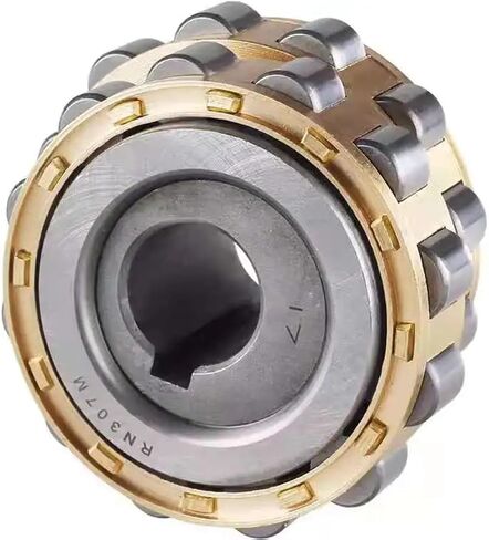 Cylindrical Roller Bearing 80752202K Eccentric Bearing 80752202 70752202 80752202 100752202 130752202 K(80752202K) in Saudi Arabia
