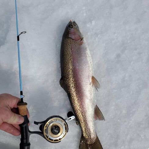 Winterhawk – 28" Medium Action Ice Fishing Rod with Japanese Toray Carbon Fiber | Wasatch Tenkara Rods in Saudi Arabia