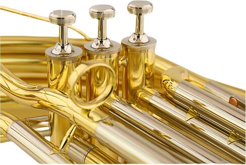 صك النحاس Sousaphone ، الانتهاء من الذهب in Saudi Arabia