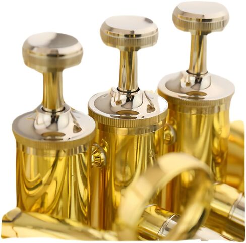 صك النحاس Sousaphone ، الانتهاء من الذهب in Saudi Arabia