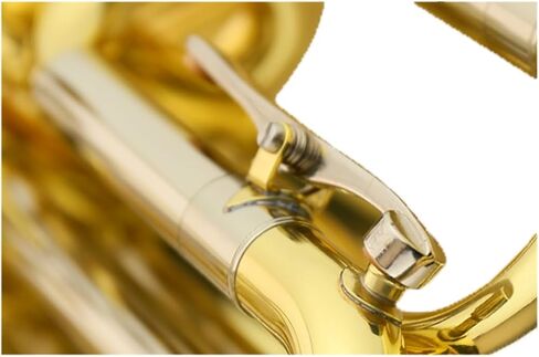 صك النحاس Sousaphone ، الانتهاء من الذهب in Saudi Arabia