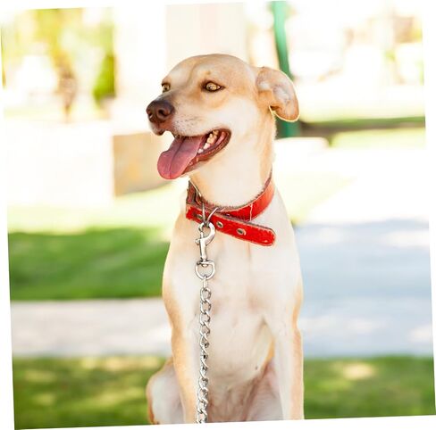Supvox 24pcs Snap Hooks مقاطع دوارة ثقيلة للخدمة الأليفة لأدوات مفاتيح Pet Leashes وأكثر أمانًا سهلة الاستخدام موصلات حبل محمولة داخلية داخلية in Saudi Arabia