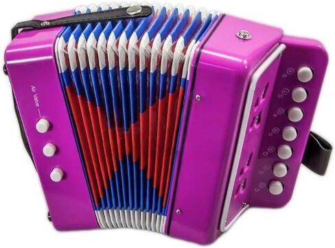 Sky Accordion Hot Pink Pattern 7 Button 2 Bass Music Instrument Easy to Play *GREAT GIFT* in Saudi Arabia