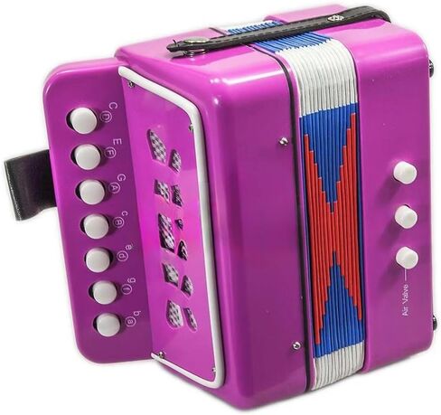 Sky Accordion Hot Pink Pattern 7 Button 2 Bass Music Instrument Easy to Play *GREAT GIFT* in Saudi Arabia