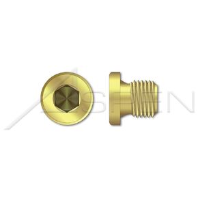 (4 pcs) 3/4"-14, DIN 908, Metric, Threaded Screw Pipe Plugs, Hex Socket Drive, Straight Thread, Brass in Kuwait
