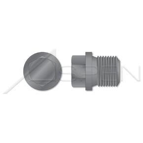 (2 pcs) 1-1/4"-11, DIN 910, Metric, Threaded Screw Pipe Plugs, Hex Drive, Straight Thread, Steel, Plain in Kuwait