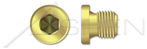 (4 pcs) 3/4"-14, DIN 908, Metric, Threaded Screw Pipe Plugs, Hex Socket Drive, Straight Thread, Brass in Kuwait