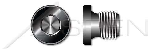 (70 pcs) 1/8"-28, DIN 908, Metric, Pipe Plugs, Hex Socket Drive, Straight Thread, Steel, Plain in Kuwait