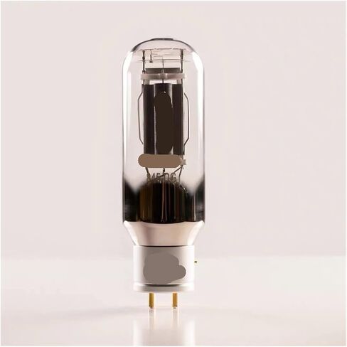 1PCS Tube Audio Audio Amblefier (1PCS 845-DG) in Saudi Arabia