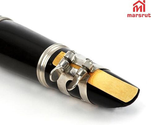10pcs BB Clarinet Reeds 2.5 Strength ، Reed for Clarinet التقليدية مع قطع غير متوفرة ، نصيحة أرق للمبتدئين ، سهلة اللعب ، حزمة مع صندوق بلاستيكي in Saudi Arabia