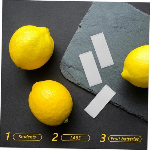 GLEAVI 10pcs صفائح الأنود الزنك لبطاريات الفاكهة التي تصنع أطباق اللوحات الكهربية للزنك للتجارب التعليمية ومشاريع علوم DIY in Saudi Arabia