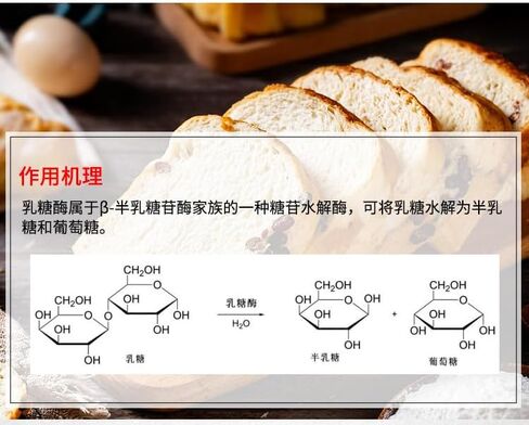 Alkaline protease Alcalase/Alkaline proteinase/Basic protease/Alkali protease Industrial Grade 200000u/ml 1000 Grams. in Kuwait