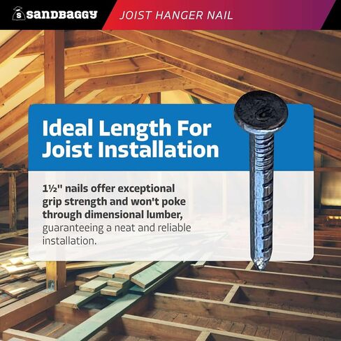 Sandbaggy 1-1/2 "Noist Hanger Nails (Appx. 150 Nails/Lb) - شانك شائكة ، 9 قياس الصلب ، 5/16" رأس مستدير - 4 د (3 ، جنيه) in Kuwait