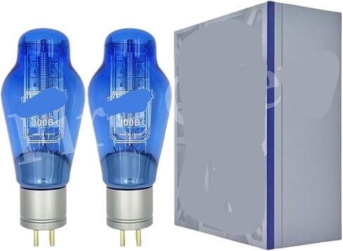 Vacuum Tube 300B Blue Replaces 300BN WE300B 300BT 4300B 7300B HiFi Audio Tube Amplifier DIY Matching(1Pair Matched) in Saudi Arabia