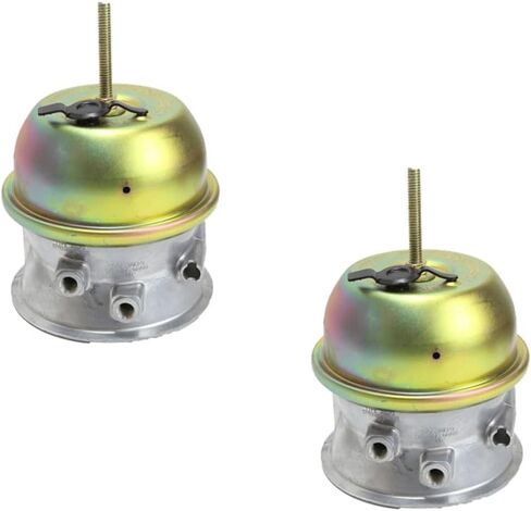 Mytee Products 2 Pk Type 30/30 Service Brake Chamber Square Bosses Type 3030 3" Long Stroke for semi Truck Trailer Replaces NT3030ELS80 NT3030ELS99 Haldex GC3030L LC3030L GC3030LR WA3030PBKITL in Saudi Arabia