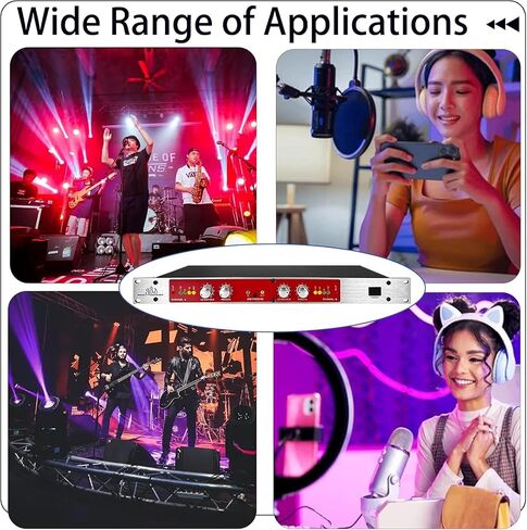 882I Professional Audio Enhancer, Sound Exciter Maximizer, Podcast Equipment Processor, Studio Mixer Vocal Effects Processor for House Karaoke, Stage, Live Broadcast,Performance in Saudi Arabia