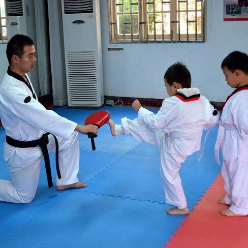 Taekwondo Kick Pad, 2 Pack Karate Kicking Target Training Paddles Punching Mitts Martial Striking Pads Black Double Strike Pads for Karate Boxing Training in Saudi Arabia