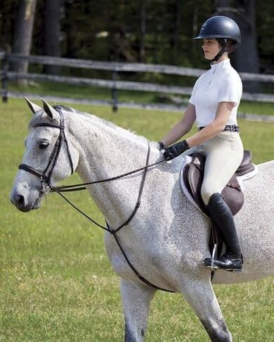 Dover Saddlery Riding Sport Ladies' Equestrian Essential Short Sleeve Show Shirt in Saudi Arabia