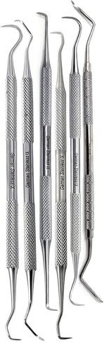 Stainless Steel Precision Micro Probe Set Combo, Straight, Single, Short Double, Long Double, Triple and Hook Tips 5.5 inch- 6.5 inch Overall Length (6) in Saudi Arabia