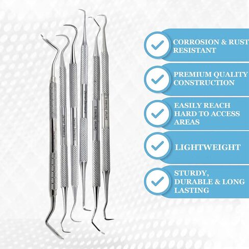 Stainless Steel Precision Micro Probe Set Combo, Straight, Single, Short Double, Long Double, Triple and Hook Tips 5.5 inch- 6.5 inch Overall Length (6) in Saudi Arabia
