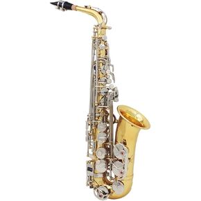 ساكسفونات ألتو ساكسفون ساكس النحاس اللامع المحفور EB E-Flat Natural White Shell Button أداة الرياح مع قفازات كتم الصوتية ساكس in Kuwait