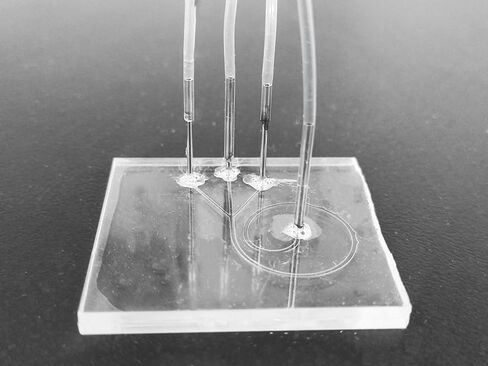 مجموعة موصل أنبوب نظام Microfluidic ، محول رقاقة PDMS ، الفولاذ المقاوم للصدأ ، 10 قطع (23G مستقيم 0.3 * 0.6 * 16 مم معرف * OD * L) in Saudi Arabia