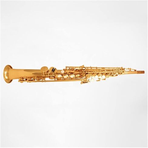 B-flat متكامل مستقيم الساكسفون أداة أداء أداة أداء الطالب الساكسفون المبتدئ in Kuwait