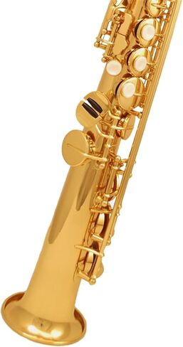 B-flat متكامل مستقيم الساكسفون أداة أداء أداة أداء الطالب الساكسفون المبتدئ in Kuwait