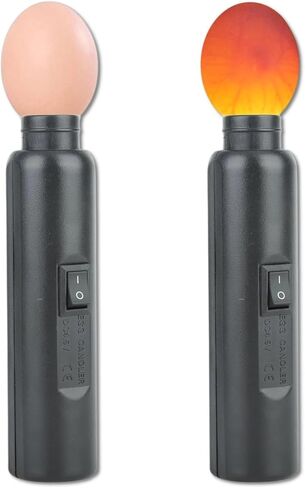 ABS LED Egg Candler for Chicken Eggs, USB Rechargeable Egg Candling Flashlight, Candeling Light for Eggs Duck Eggs, Learn to Experiment with Incubation Processes in Saudi Arabia