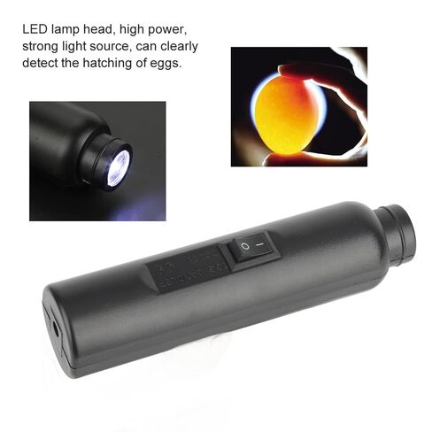 ABS LED Egg Candler for Chicken Eggs, USB Rechargeable Egg Candling Flashlight, Candeling Light for Eggs Duck Eggs, Learn to Experiment with Incubation Processes in Saudi Arabia