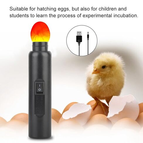 ABS LED Egg Candler for Chicken Eggs, USB Rechargeable Egg Candling Flashlight, Candeling Light for Eggs Duck Eggs, Learn to Experiment with Incubation Processes in Saudi Arabia
