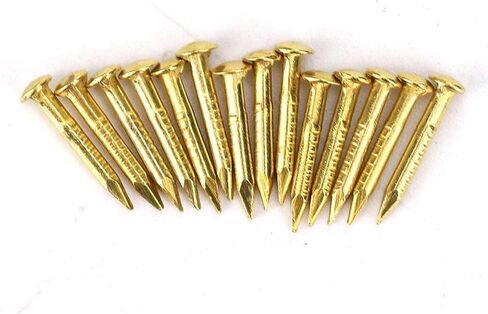 Oumefar 100PCS Gold Round Head Nail Solid Brass Nails Mini Model Nail Furniture Hinge for Hardware Accessories DIY Crafts Brass Brads 1/2 Inch Brass Boat Nails Ringed 1"(#4) 12 Gauge Brass Nail in Saudi Arabia