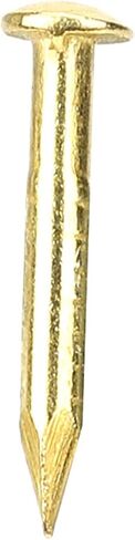 Oumefar 100PCS Gold Round Head Nail Solid Brass Nails Mini Model Nail Furniture Hinge for Hardware Accessories DIY Crafts Brass Brads 1/2 Inch Brass Boat Nails Ringed 1"(#4) 12 Gauge Brass Nail in Saudi Arabia