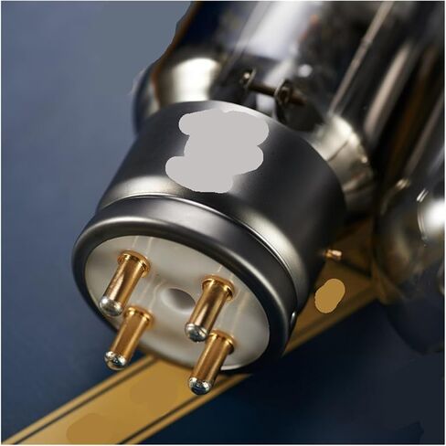 1/2/PCS WE845 Audio Tube Amplifier (زوج متطابق 2pcs) in Saudi Arabia