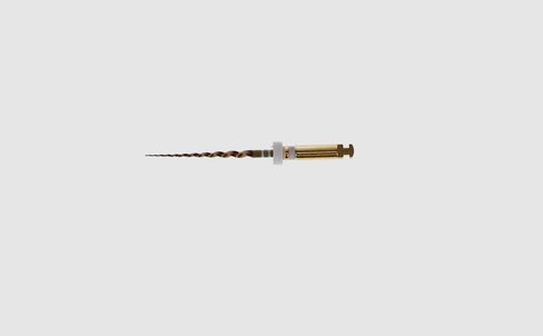 Dentsply A0410221G0203 ProTaper Gold Rotary Files 21mm S2 PTGRS221 6/Pk in Saudi Arabia