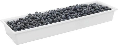 Hubert Smartfit 1/2 حجم طويل أبيض الميلامين الأطعمة الباردة - 6 3/16 "L x 20 1/5" W x 2 1/2 "D. in Saudi Arabia