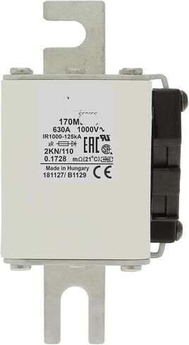 1000V FUSE 170M5975 FUSE 170M5975 in Kuwait