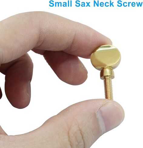 Piutouyar 2 Pcs Sax Neck Screw, Gold Tightening Attach Screw Musical Instrument Replacement Parts for Saxophone Clarinet in Saudi Arabia