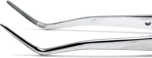 كلية طب الأسنان وميريام احباط القطن الملقط 16 سم مسنن منقار خلع الملابس الثديية للملقط الجراحي ، 2 قطعة صكوك in Saudi Arabia
