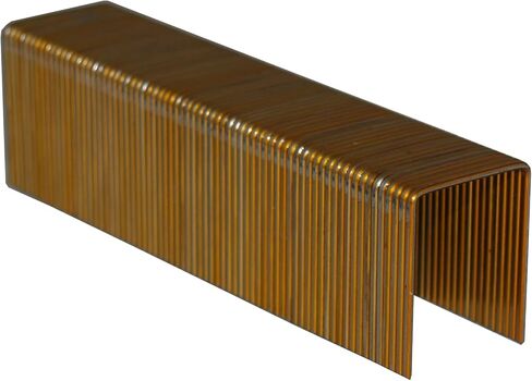 Spot Nails 1612PG-10M 1-Inch 16-Gauge Galvanized Wide Crown Bostitch Style Staples, 10000-Count, 1-1/2-Inch Leg in Saudi Arabia