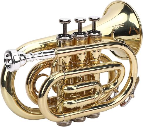BRASS POCKET TRUMPET KIT BRIGHT TONES FOR BEGINNERS AND STUDENTS GOLDEN in Saudi Arabia