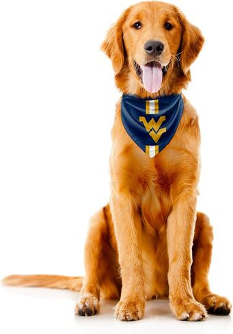 Littlearth West Virginia Mountaineers NCAA Pet Bandana in Saudi Arabia