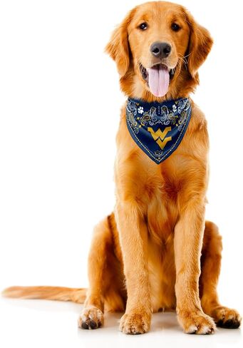 Littlearth West Virginia Mountaineers NCAA Pet Bandana in Saudi Arabia