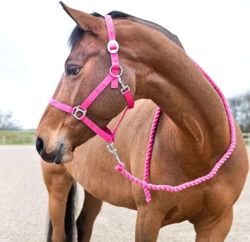 Horze Basic Cotton 7 'Horse Lead Rope (مجموعة من 3) - Peacoat Blue Blue in Saudi Arabia