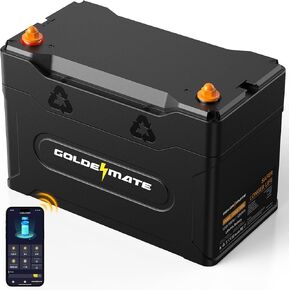 12V 100Ah Group 31 Bluetooth LiFePO4 Battery, IP67 Waterproof Lithium Battery, 5000+ Deep Cycles, Built-in 100A BMS, Perfect for RV, Solar System, Marine, Trolling Motor, Off-grid Setups in Kuwait