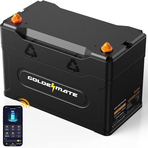 12V 100Ah Group 31 Bluetooth LiFePO4 Battery, IP67 Waterproof Lithium Battery, 5000+ Deep Cycles, Built-in 100A BMS, Perfect for RV, Solar System, Marine, Trolling Motor, Off-grid Setups in Kuwait