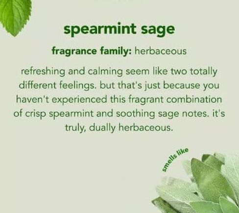 M.E.T.H.O.D SPEARMINT SAGE SQUIRT + MOP HARD FLOOR CLEANER-25 FL OZ in Saudi Arabia