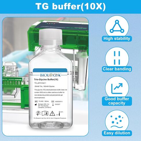 TG electrophoresis Buffer (10x) ، Tris-glycine Transfer Buffer للبقع الغربية والمواد الهلامية الأصلية ، الرقم الهيدروجيني 8.3 ، 500 مل/زجاجة ، زجاجة واحدة in Kuwait