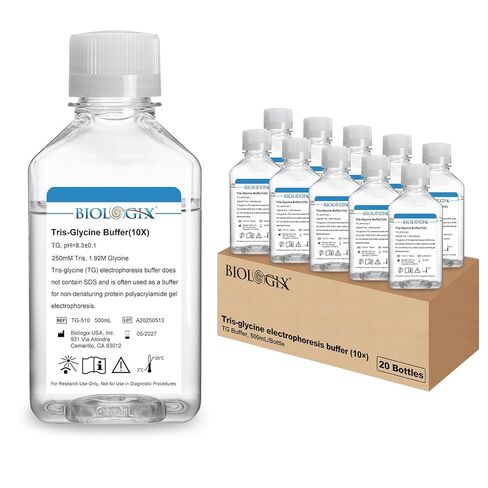 TG electrophoresis Buffer (10x) ، Tris-glycine Transfer Buffer للبقع الغربية والمواد الهلامية الأصلية ، الرقم الهيدروجيني 8.3 ، 500 مل/زجاجة ، زجاجة واحدة in Kuwait