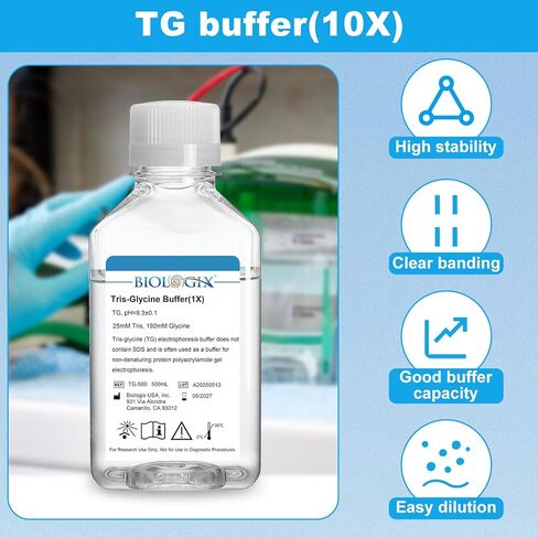 TG electrophoresis Buffer (10x) ، Tris-glycine Transfer Buffer للبقع الغربية والمواد الهلامية الأصلية ، الرقم الهيدروجيني 8.3 ، 500 مل/زجاجة ، زجاجة واحدة in Kuwait